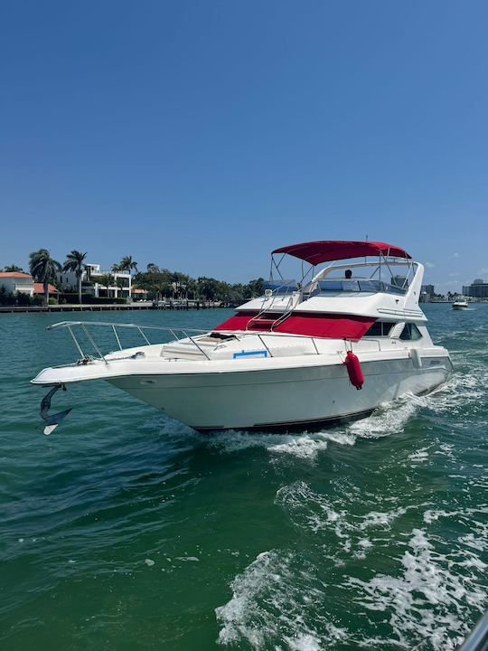 🚨 Jacuzzi está incluído! 😍 Sea Ray 48 Horário de verão, venha e divirta-se conosco 