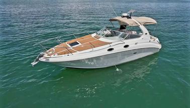 Yacht Sea Ray Sundancer de 34 pieds avec capitaine licencié par l'USCG