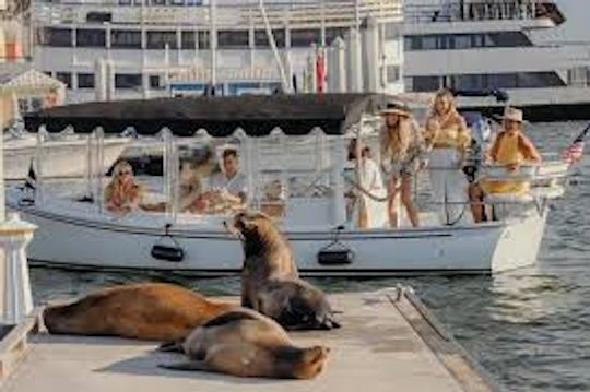 21-Foot Electric Duffy Boat Rental in Newport Beach for 12 Passengers