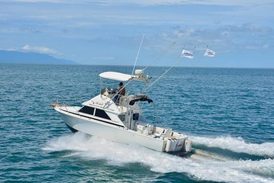 28ft Bertram Sports Cruiser in La Cruz de Huanacaxtle Marina, Mexico