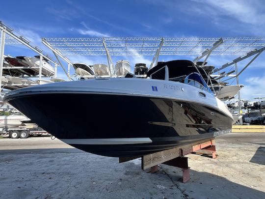 Fun under the sun! 28’ Searay Sundeck day boat