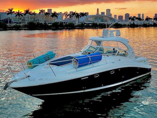 1 Hour free - Yacht in Miami: Sea Ray Sundancer 50ft