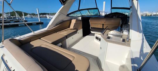 Hermoso yate Sea Ray 310 Sundancer