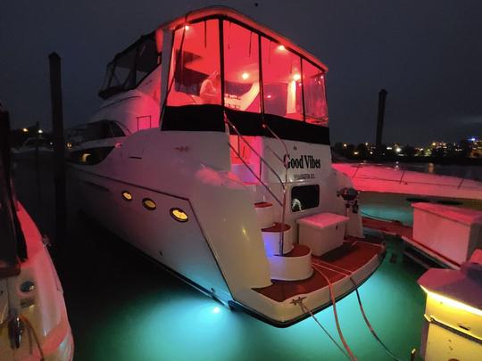 Location de yacht à moteur Meridian Yachts 408 de luxe DC