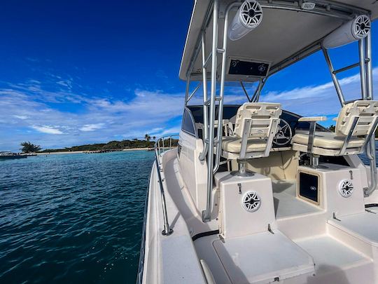 Visites privées et plongée avec tuba aux îles Icacos et Palomino - Grady White 27'