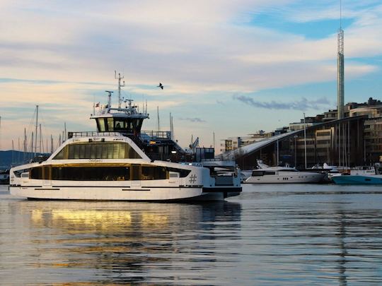 Cruzeiro turístico de 2 horas em Oslofjord