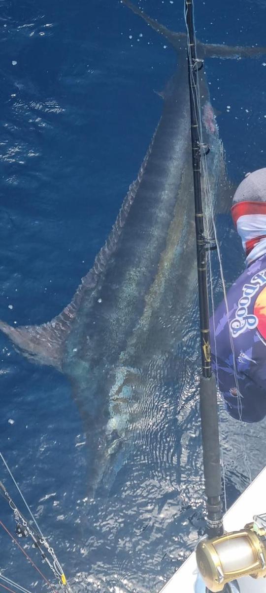 Bote de pesca deportiva Hatteras de 36 pies para alquilar en Jacó, Costa Rica