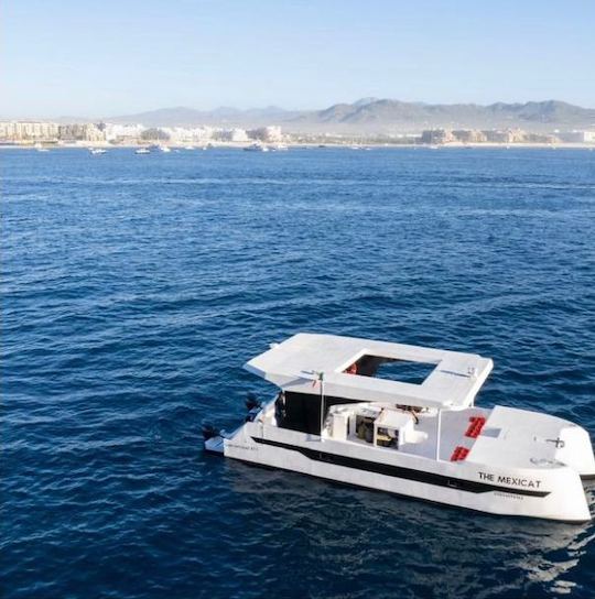 Catamaran Coach Flat Cat 20 en Cabo San Lucas Mexico.