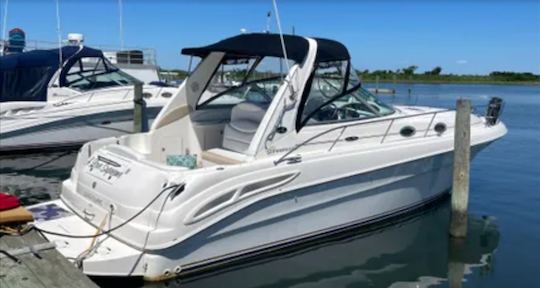 ¡Navega por el río Potomac en el impresionante Sea Ray 340 Sundancer!