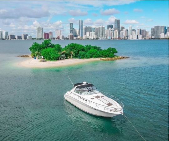 Sea ray 42FT profitez de notre magnifique yacht de luxe à Miami